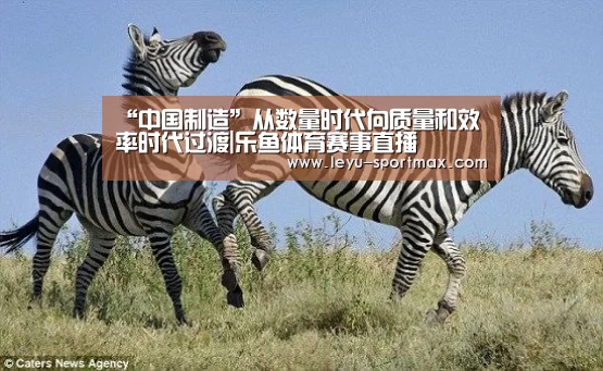 乐鱼体育赛事直播